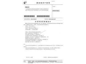 NZ19P21087專利申請(qǐng)受理通知書